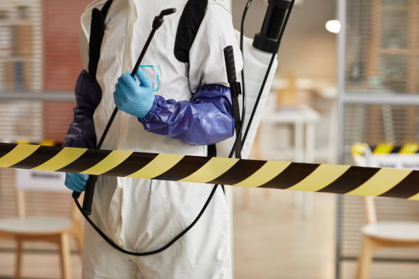 Professional Sewage Cleanup technician working in Waite Park, MN